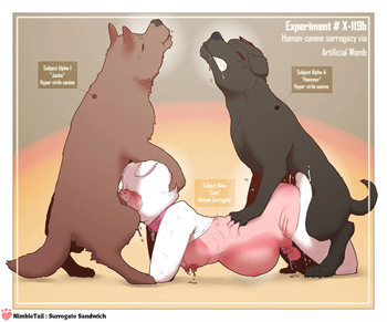 nimbletail Surrogate Sandwich cover