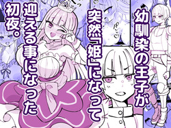 幼馴染の王子が突然「姫」になって迎える事になった初夜。