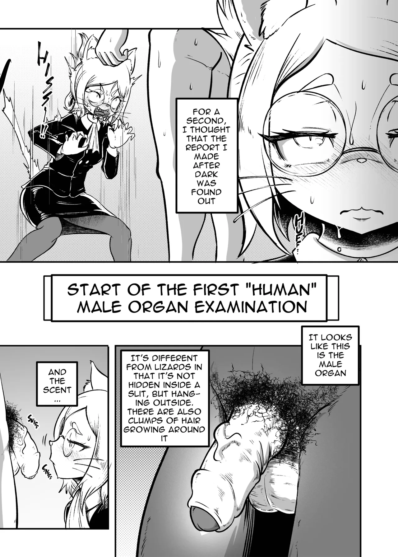 Tonelico Houdoukan no Ura Houkokusho | Secret Report page 8 full
