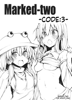 - Code 3 -