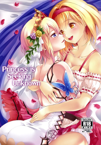 (C95) [Memoria (Tilm)] Princess is Seeking Unknown (Granblue Fantasy) (MTL) cover