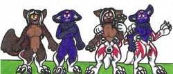 Latex Null Lycanroc Midnight Suits