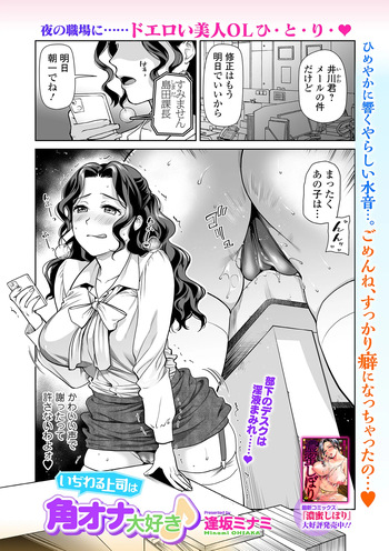 [逢坂ミナミ] いぢわる上司は角オナ大好き♪ cover
