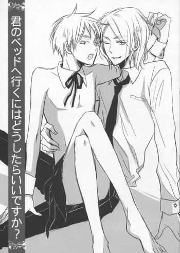 [LOVEPOTIONNO.9 (Ichinomiya Shihan)] What do I have to do to get into your bed? (Hetalia Axis Powers) cover