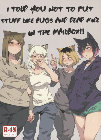 (Shikemoku 1-ponme) [Shimimaru Seisakusho (Various)] Yuubinuke ni Nezumi dano Mushi dano Shigai Ireru no Yamerottsutten daro!! (Yanineko) [English] (WIP) cover