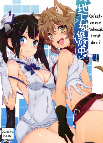 Nikoushikou (Nekosaki Aoi)] What Should I Do When the Dungeon is Under Maintenance? (Dungeon ni Deai o Motomeru no wa Machigatteiru Darou ka) [Traduction IA] cover