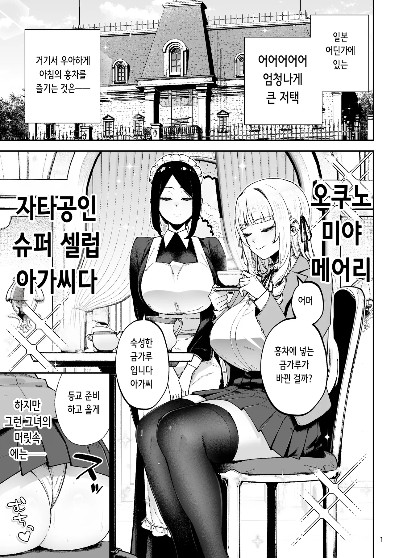 Soreyuke, Ero Baka Ojou-sama! ~Celeb no Watashi ga Dekachin Shomin wo Tegome ni Suru no wa Touzen desu!~ | 가라, 에로 바보 아가씨~ ~셀럽인 제가 대물 서민을 손에 넣는 건 당연해요!~ page 3 full