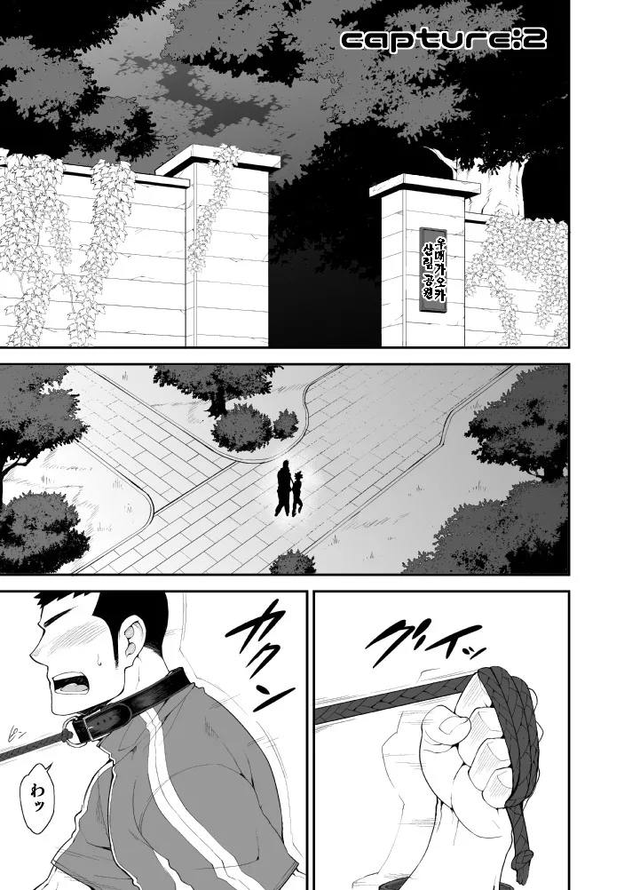 capture:2 page 2 full