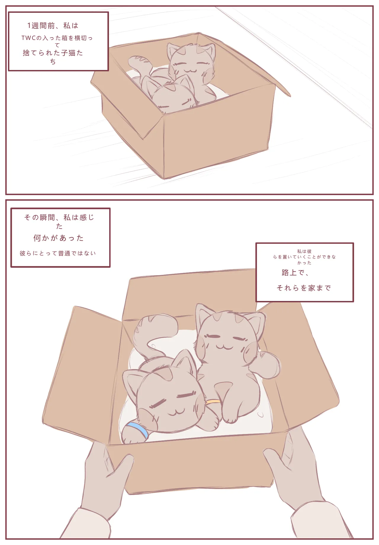 拾った子猫が女の子になりました page 1 full