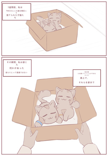 拾った子猫が女の子になりました [BluvyDev] cover