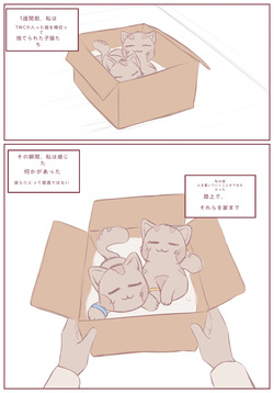 拾った子猫が女の子になりました