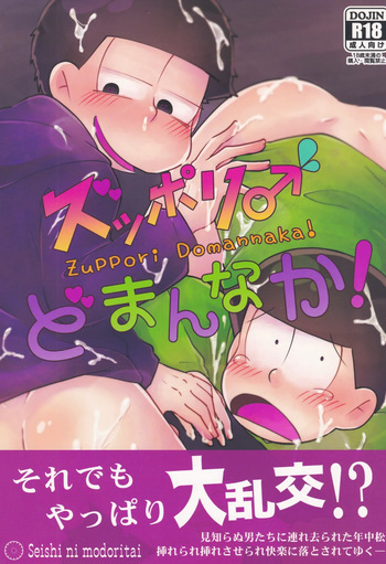 [Seishi ni modoritai (Rohō Sakuya)] Zuppori ♂ Domannaka! (Osomatsu-San) cover