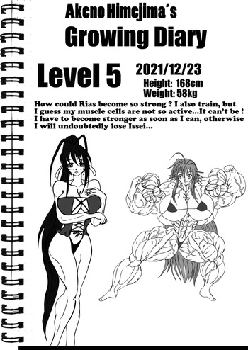 [e19700] Akeno Himejima cover