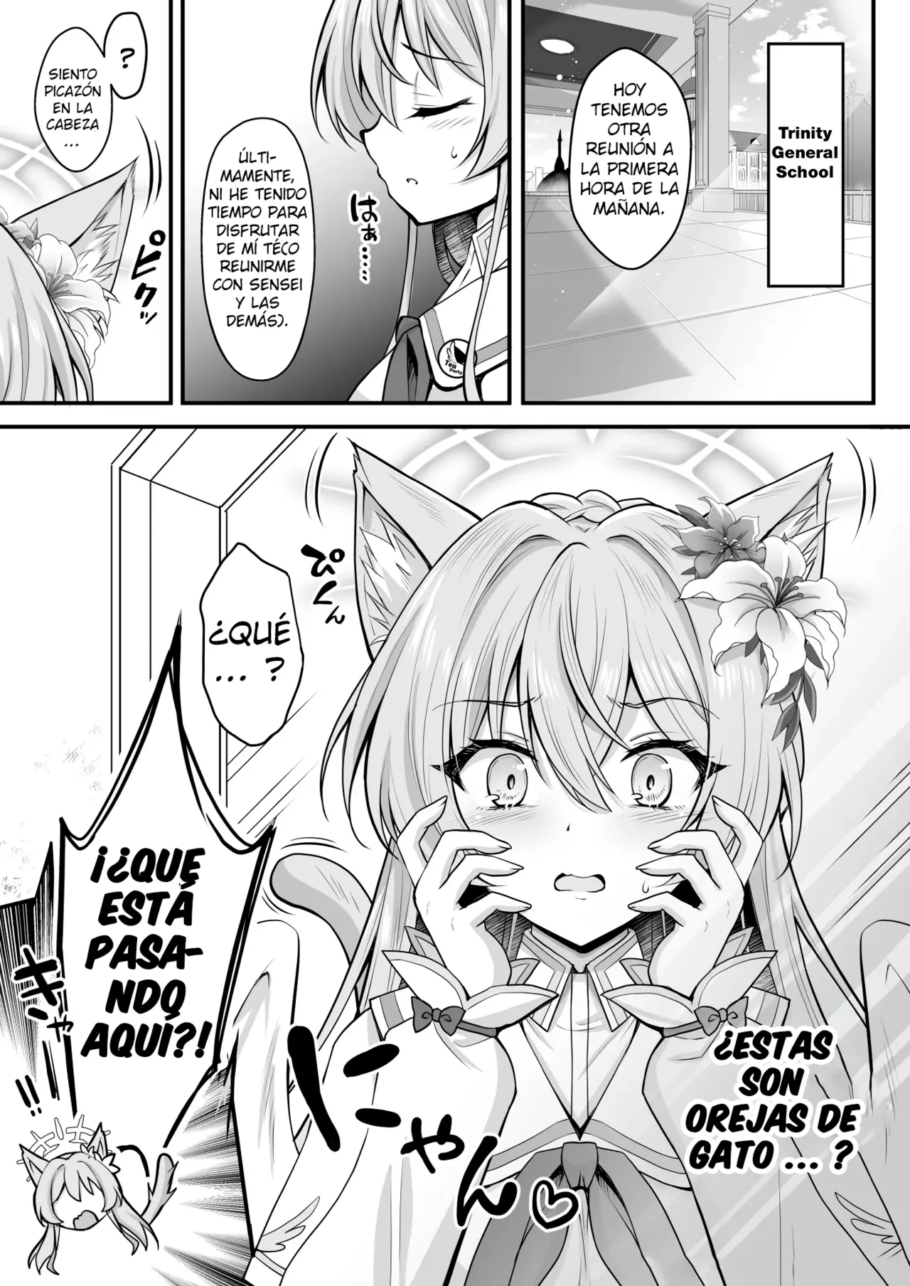  page 4 full