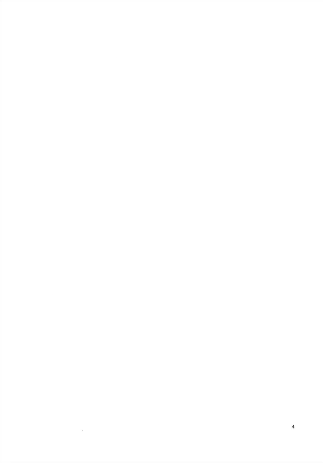 MG-001 page 4 full
