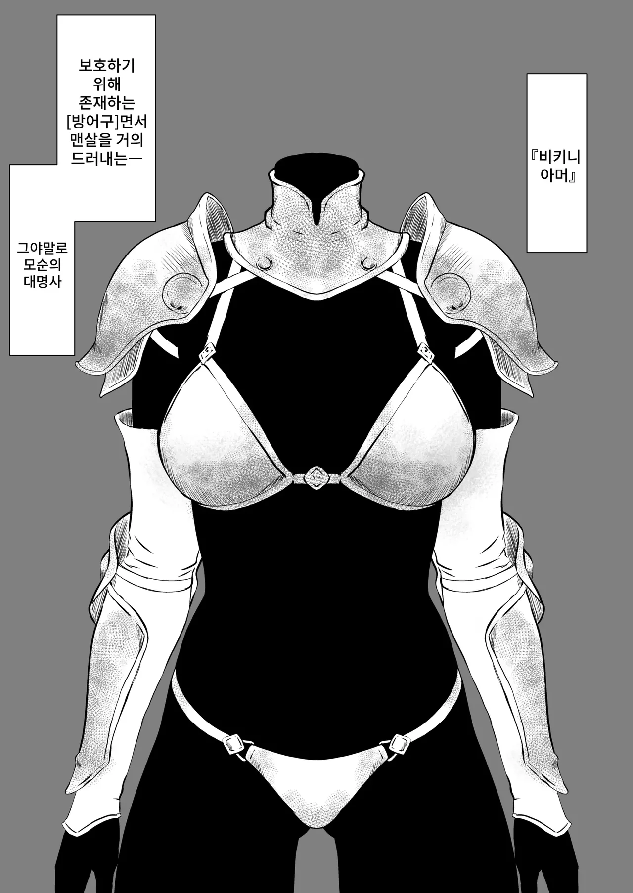 Bikini Armor Monogatari page 2 full