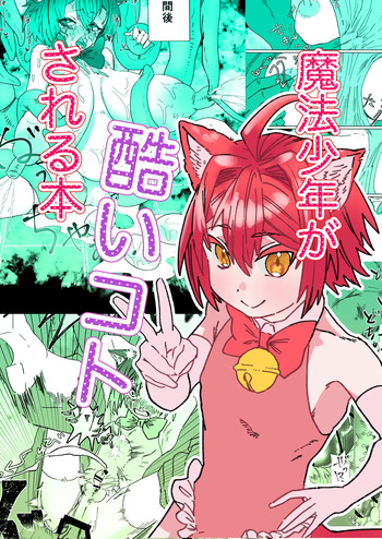 [胃須の研究所] 魔法少年が酷いコトされる本 cover