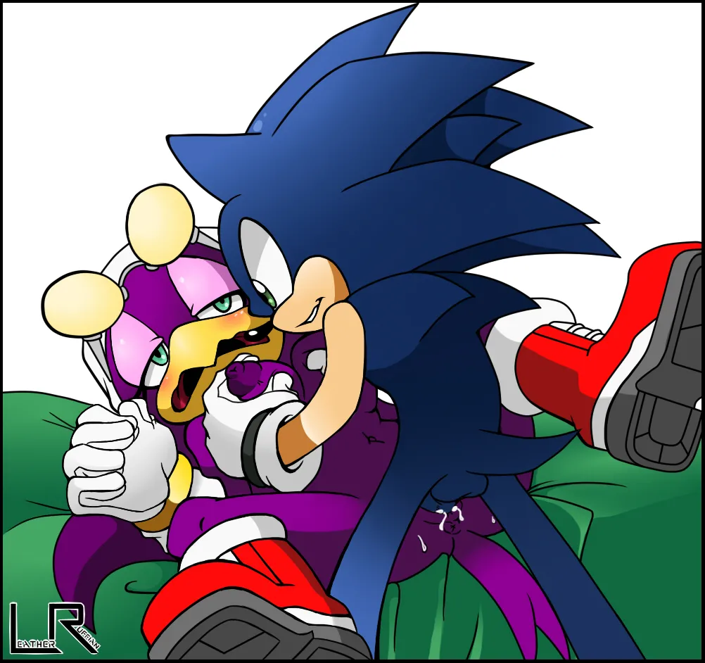 Tikal, Blaze, Wave, and Vanilla fucking Sonic & Tails page 11 full