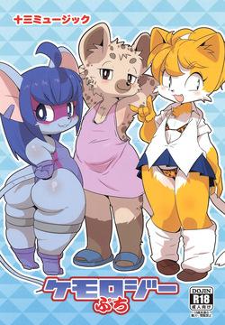 Kemology Petit