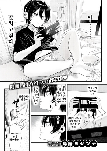 [Torii Yoshitsuna] Isshoni shishunki shiyouze (COMIC Kairakuten 2026-09) [Korean] cover