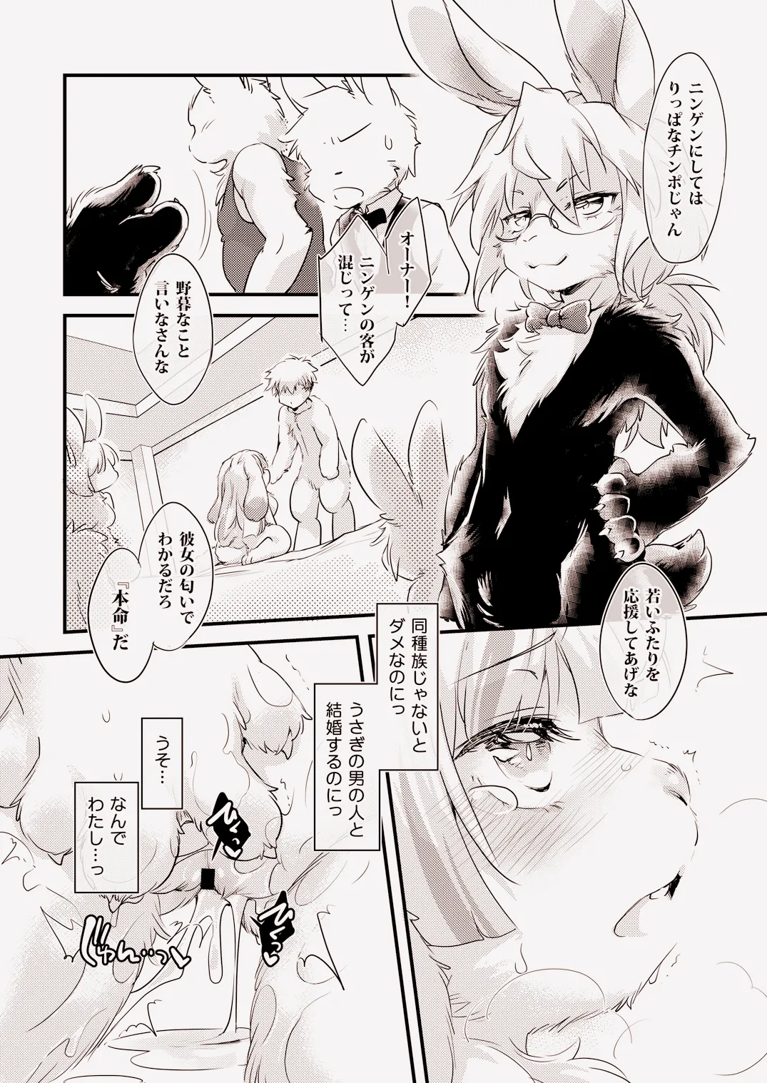 Usagi na Kanojo no Aishikata 2 page 12 full