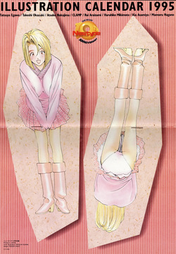 NEWTYPE ILLUSTRATION CALENDAR 1995