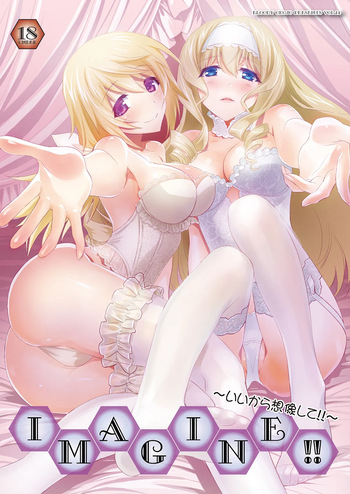 (COMIC1☆8) [Bloody Okojo (Mojyako, Caviar)] IMAGINE!! ~Iikara Souzou Shite!!~ (IS <Infinite Stratos>) [Digital] cover