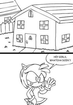 Sonic Girls Roommates
