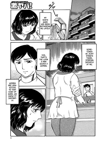 [Fujisawa Tatsurou] My Son is Really My Brother (Jukujobo no Biniku ni Meromero2) [Digital] cover