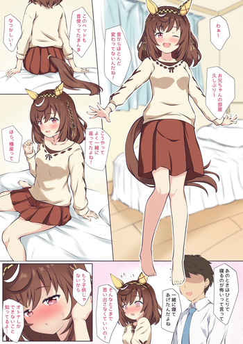 [ふぇぇり] ブエナとおうちでいちゃいちゃ♡ (ウマ娘 プリティーダービー) cover