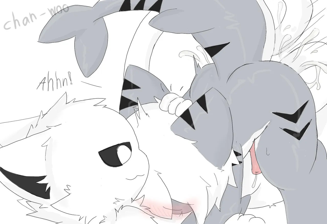  page 12 full
