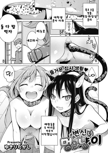 [Yukiri Takashi] Narikiri Wan Nyan | 변신 멍냥이 (COMIC Megastore Alpha 2017-05) [Korean] [Digital] cover