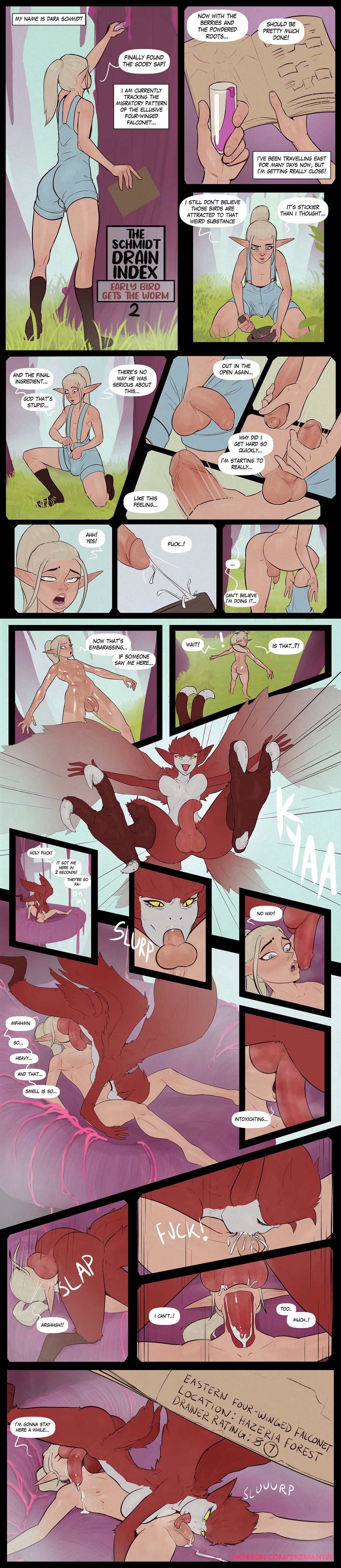 skemantis - The Schmidt Drain Index page 2 full