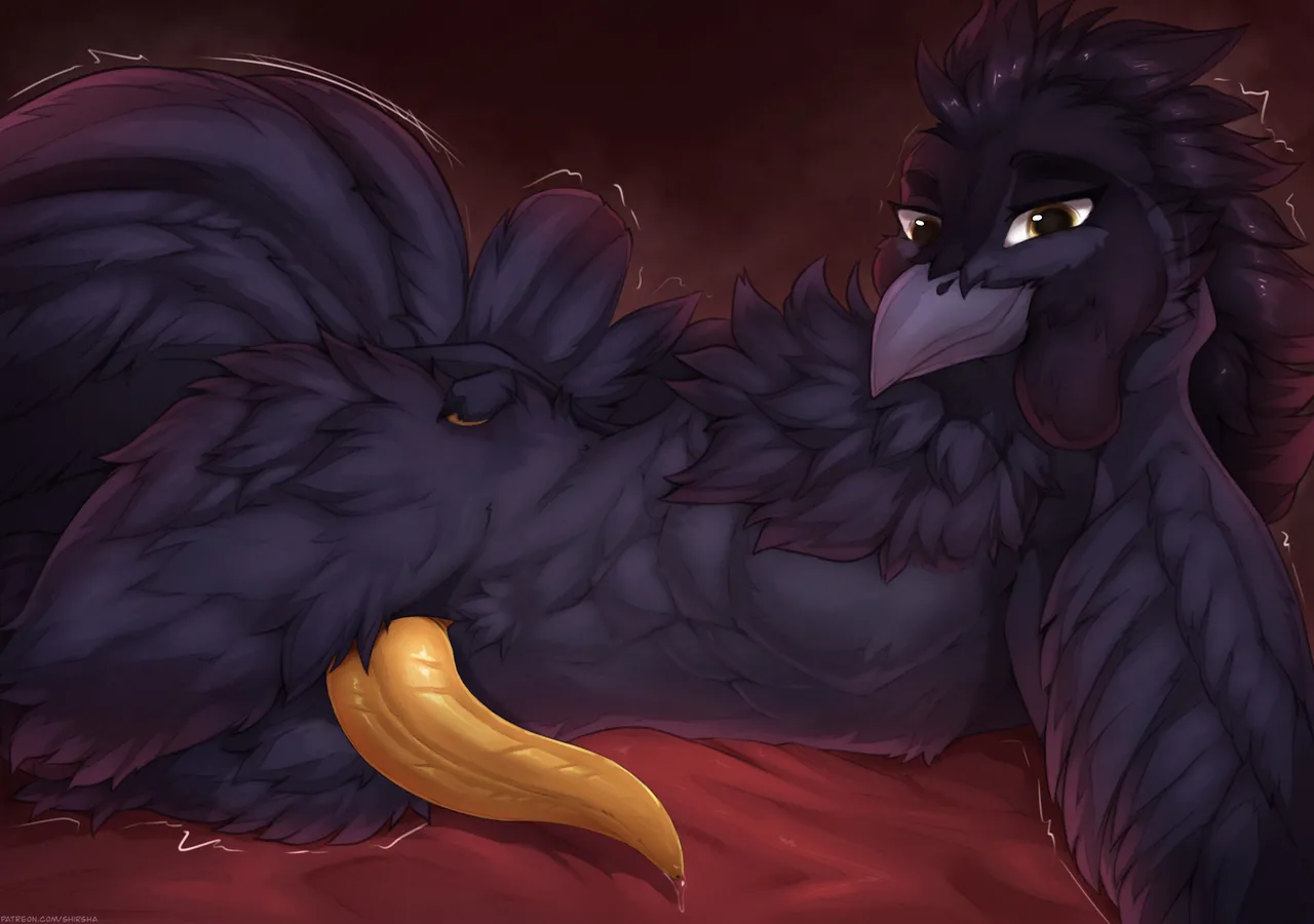 Shirsha page 10 full