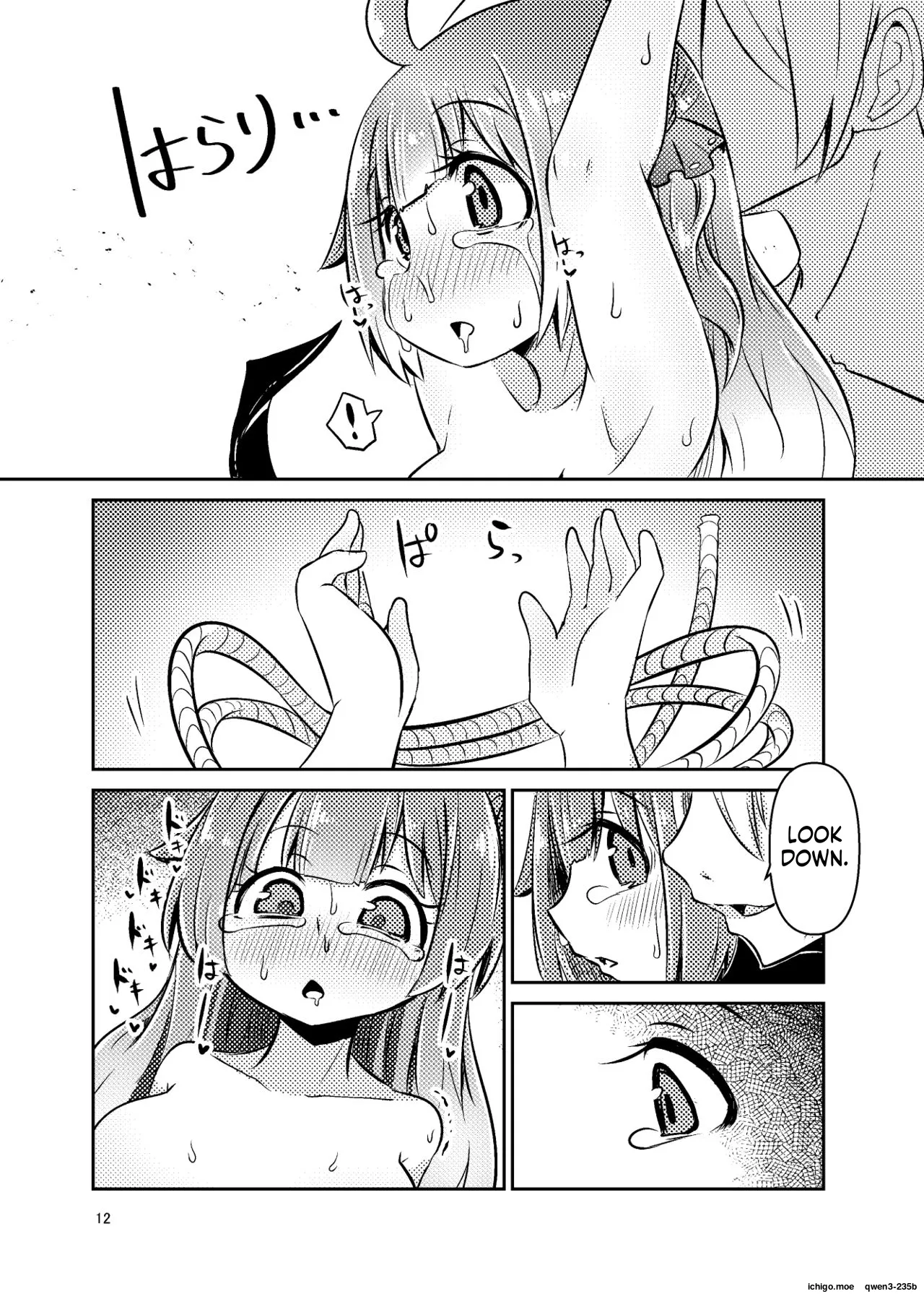 ShroUni R page 11 full