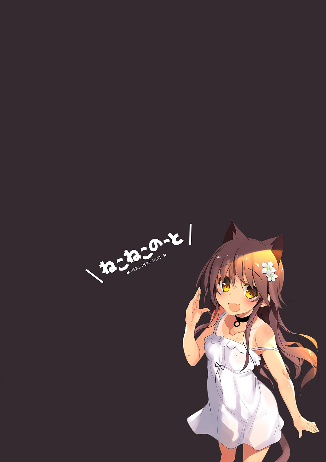Neko Neko Note 5 エアコンが壊れた部屋で汗だくセックスする本 page 2 full