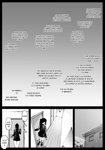 [Ahemaru] Kouishou no Shimai | Hermanas con discapacidades [Spanish] [Traducciones Necesarias] cover