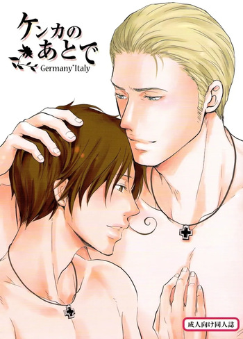 [Nikushoku Shounen (Kozakura Shou)] Kenka no Ato de (Axis Powers Hetalia) [English] cover