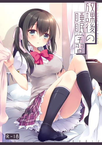 [D.N.A.Lab. (Miyasu Risa)] Houkago no Suimin Gakushuu [Digital] cover