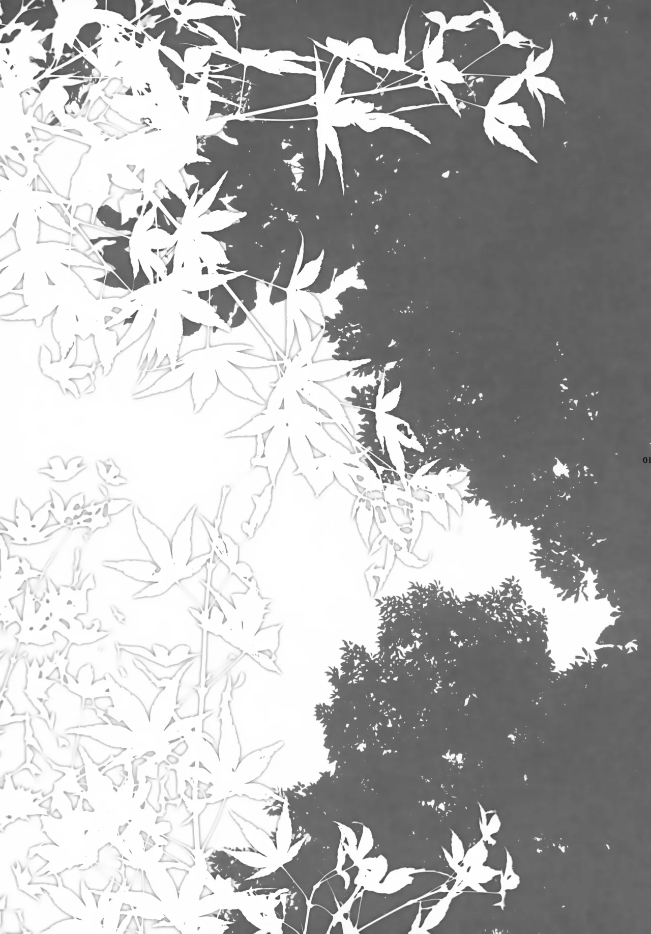 Aki Momiji page 2 full