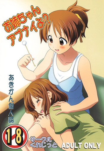 [Circle Credit (Akikan)] Oneechan Abunaiyo? (K-On!) cover