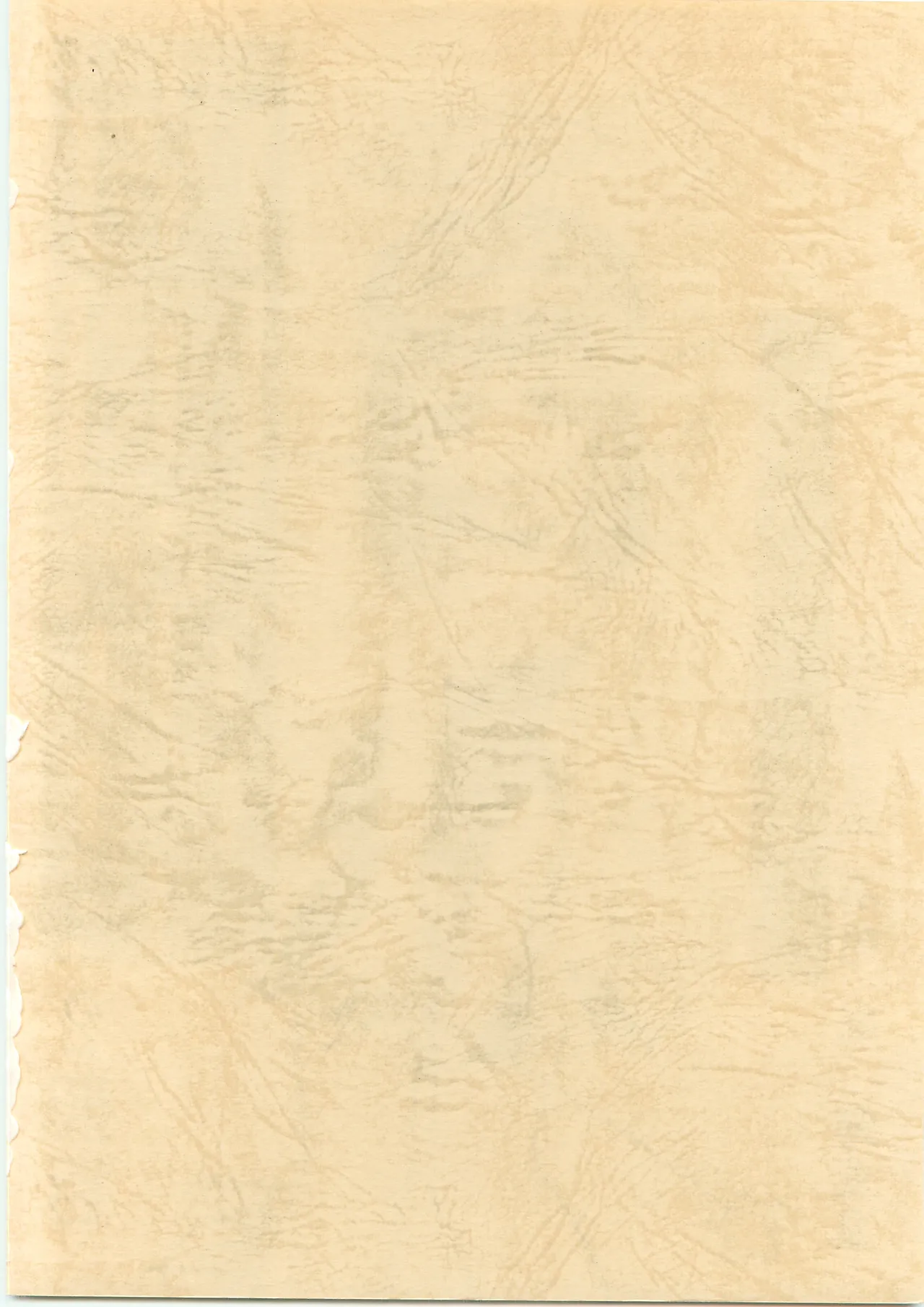 Nangoku Teiou 2 page 2 full