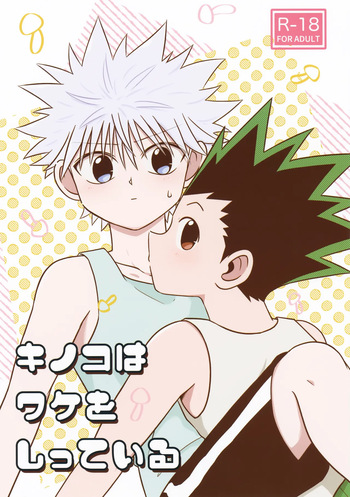 (Re:HUNTER 10) [Kizuguchi wa Nurasanai (Gyonii)] Kinoko wa Wake o Shitte Iru (Hunter x Hunter) cover