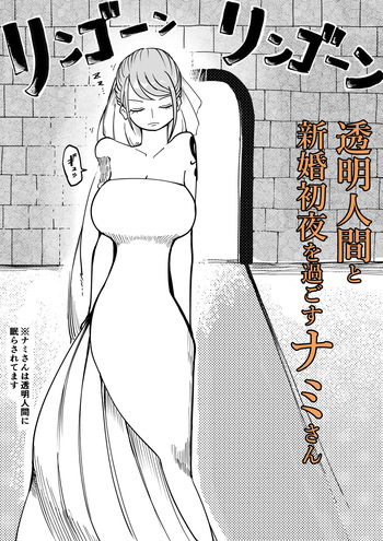[Yubi] 透明人間と新婚初夜を過ごすナミさん (ワンピース) cover