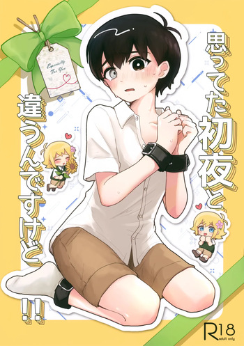 (Yume Sekai Kara Harubaru to GW2026) [Rummy (Rami)] Omotteta Shoya to Chigau n Desu Kedo!! (OMORI) cover