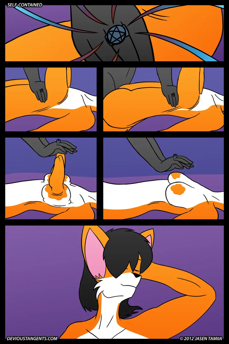 Self Contained page 2 full