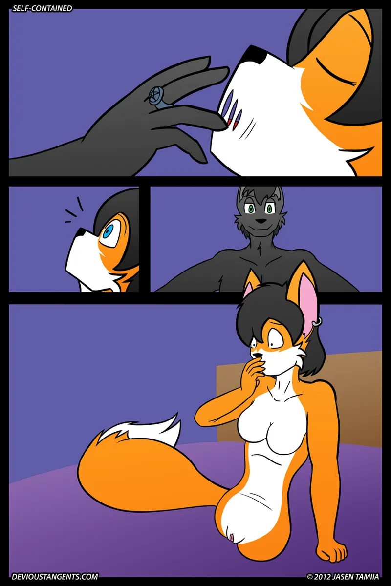 Self Contained page 3 full