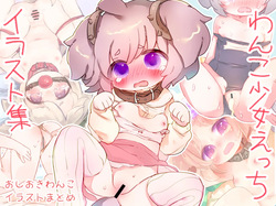Oshioki wan ko etchi irasuto-shū