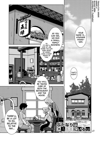 [Kamotama] Futanari Musume wa Yarizakari Ch.1-4 [English] [biribiri] [Digital] cover