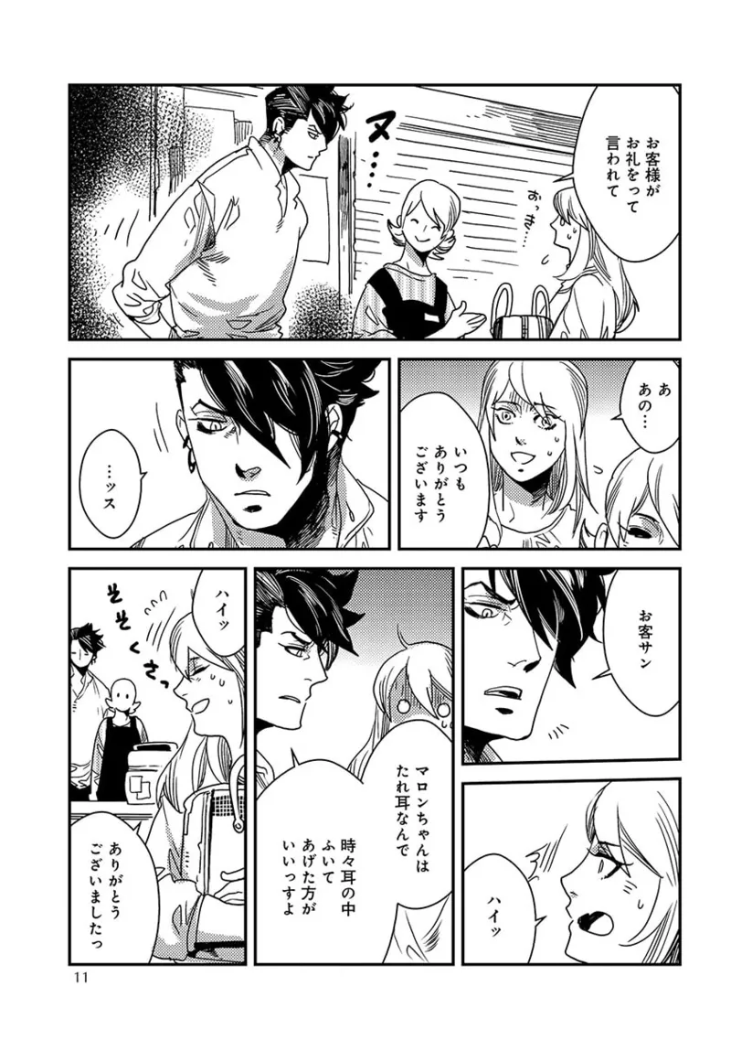 サモン・トリマー【単行本版】 page 11 full